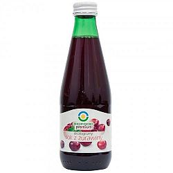 Biofood bio 100% tozegáfonylé 300 ml