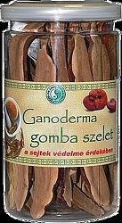Dr.chen ganoderma gomba szelet, 50 g
