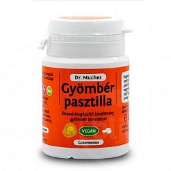 DR.MUCHES GYÖMBÉR PASZTILLA, 27 g