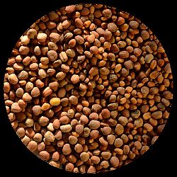 EZERJÓFŰ BIO CSÍRAMAG RETEK-MIX, 100 g