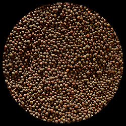 EZERJÓFŰ BIO CSÍRAMAG VÖRÖSKÁPOSZTA, 100 g
