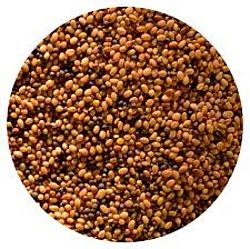 EZERJÓFŰ BIO CSÍRAMAG ZSENGE-GYENGE, 100 g
