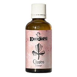 EzerJóFű Cilantro (koriander) csepp, 50 ml