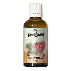 EzerJóFű Galagonya+ kivonat, 50 ml