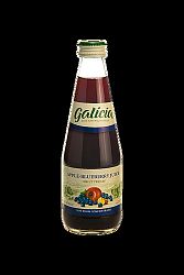 GALÍCIA GYÜMÖLCSLÉ ALMA-ÁFONYA 300ML