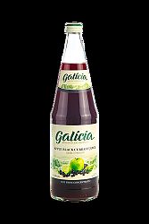 GALÍCIA GYÜMÖLCSLÉ ALMA-F.RIBIZLI 1000ML