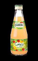 GALÍCIA SMOOTHIE ALMA-KÖRTE-BARACK, 300 ml