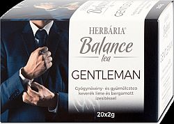 HERBÁRIA BALANCE TEA GENTLEMAN 20 FILTER