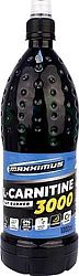 L-CARNITINE 3000 ITAL KÓKUSZ-ANANÁSZ, 1000 ml