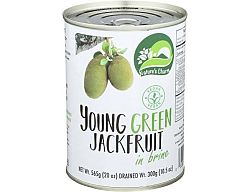 NATURE'S CHARM JACKFRUIT SÓS LÉBEN, 565 g