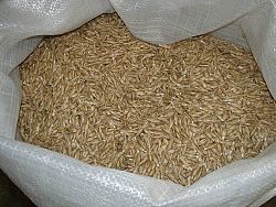 Naturgold bio tönköly búzafű mag, zsákos, 30 kg