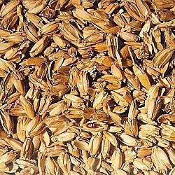 PRANA Tönkölyhéj utántöltő 0,5 kg