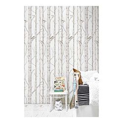 tapéta DEKORNIK Scandinavian nyírfa Forrest