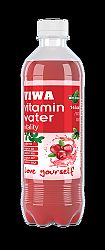Viwa Vitaminvíz Vitality 500 ml