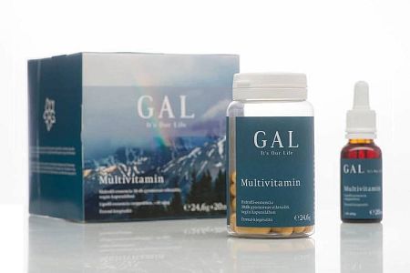 Gal Multivitamin 24,6g+20ml