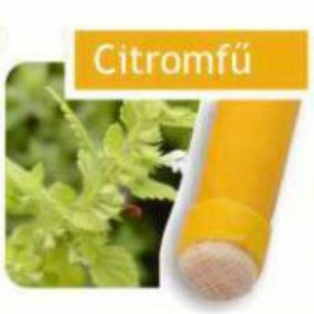 Naturhelix fülgyertya, 10 db - citromfű