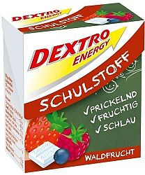 Dextro Energy Schulstoff szőlőcukor, 50 g - Erdei gyümölcsös