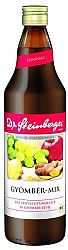 Dr. Steinberger bio Gyömbér-Mix, 750 ml