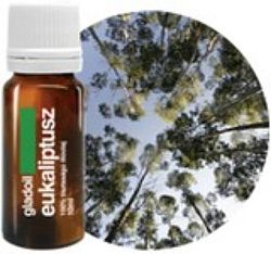 Gladoil 100% tisztaságú illóolaj, 10 ml - Eukaliptusz
