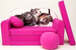 Gyerek kanapé - kiscicák - rózsaszín