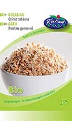Réde bio étkezési búza csíráztatásra 50g
