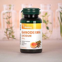 Vitaking Ganoderma Lucidum 400mg Pecsétviaszgomba kapszula, 60 db